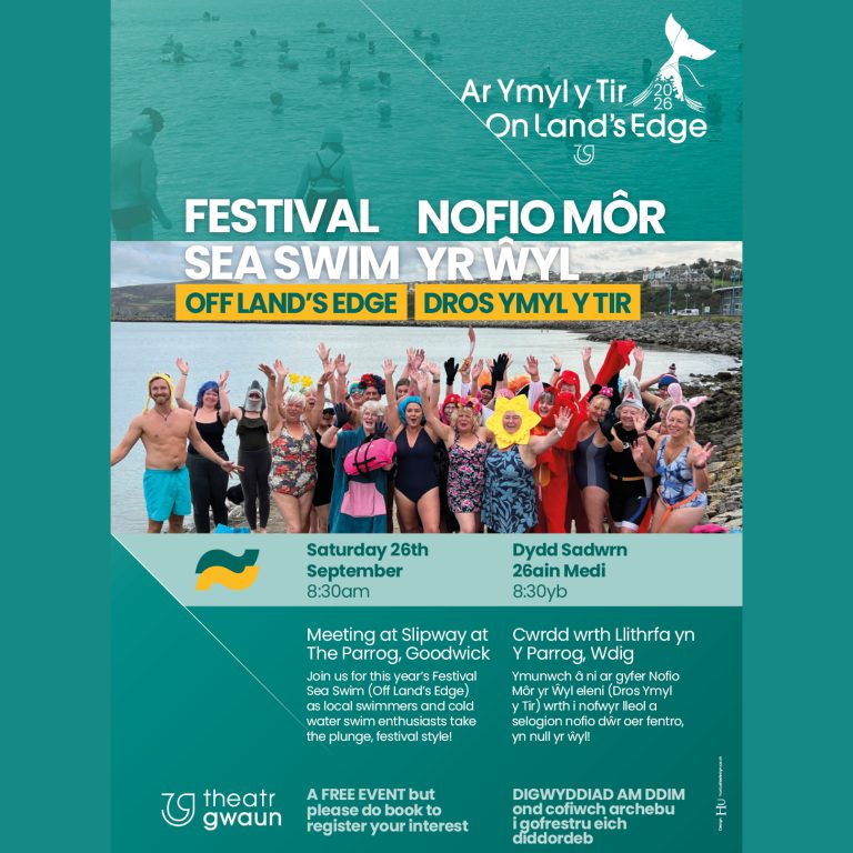 FESTIVAL SEA SWIM